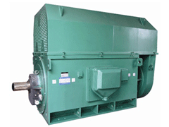 夷陵Y系列6KV高压电机